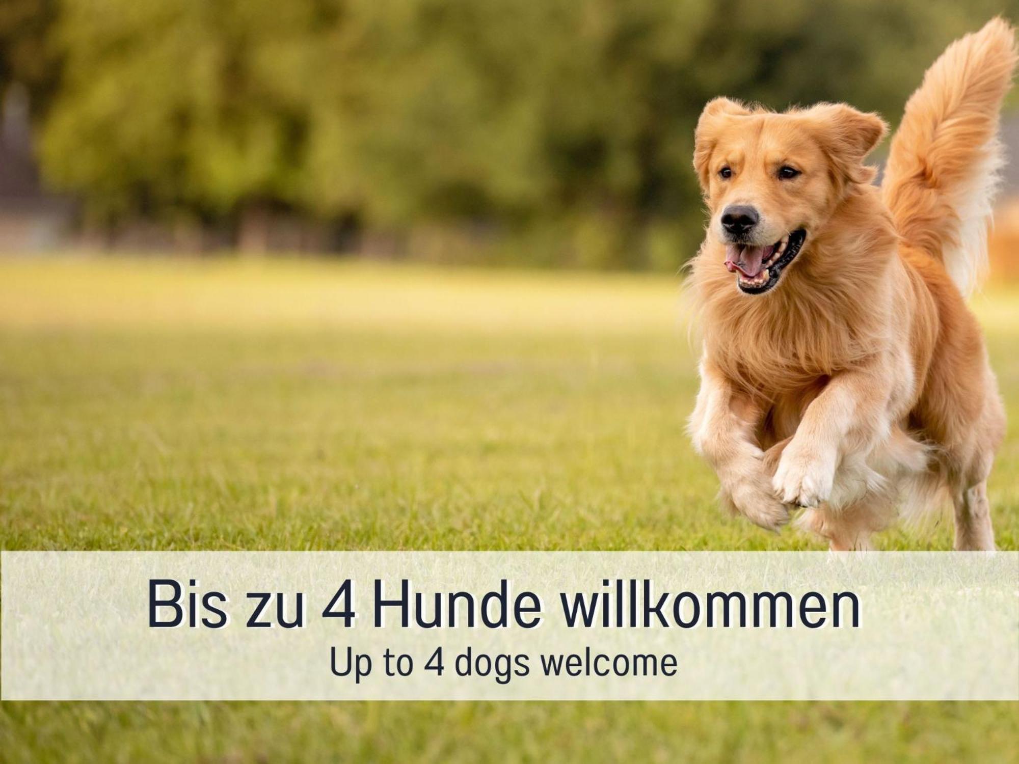 Traum Ferienhaus Burghalde 알피르스바흐 외부 사진