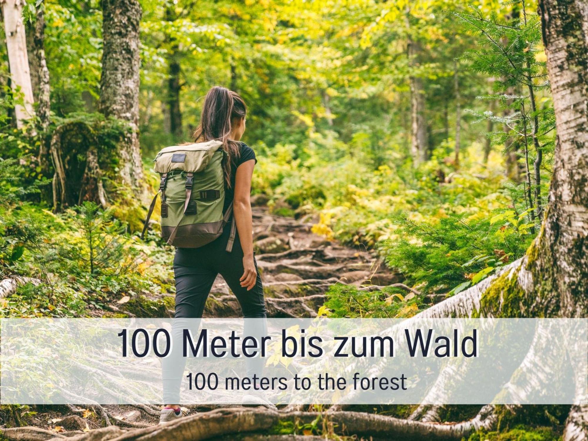 Traum Ferienhaus Burghalde 알피르스바흐 외부 사진